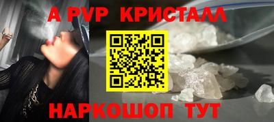 крисы Новокубанск