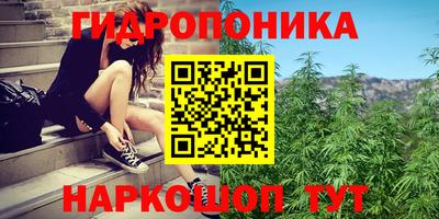 трава Обнинск