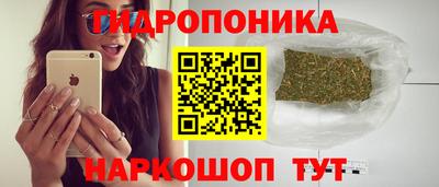крисы Новокубанск