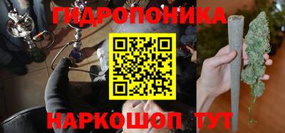 крисы Новокубанск