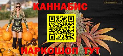 крисы Новокубанск